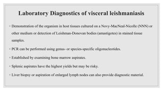 Laboratory Diagnostics of visceral leishmaniasis
◦ Demonstration of the organism in host tissues cultured on a Novy-MacNeal-Nicolle (NNN) or
other medium or detection of Leishman-Donovan bodies (amastigotes) in stained tissue
samples.
◦ PCR can be performed using genus- or species-specific oligonucleotides.
◦ Established by examining bone marrow aspirates.
◦ Splenic aspirates have the highest yields but may be risky.
◦ Liver biopsy or aspiration of enlarged lymph nodes can also provide diagnostic material.
 