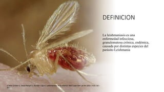 DEFINICION
La leishmaniasis es una
enfermedad infecciosa,
granulomatosa crónica, endémica,
causada por distintas especies del
parásito Leishmania
(Castro Grüber S, Zerpa Rangel O, Rondón Lugo A. Leishmaniasis en la infancia. Med Cutan Iber Lat Am 2003; 31(6): 351-
361)
 