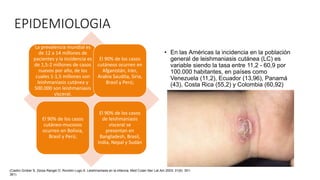 EPIDEMIOLOGIA
La prevalencia mundial es
de 12 a 14 millones de
pacientes y la incidencia es
de 1,5-2 millones de casos
nuevos por año, de los
cuales 1-1,5 millones son
leishmaniasis cutánea y
500.000 son leishmaniasis
visceral.
El 90% de los casos
cutáneos ocurren en
Afganistán, Irán,
Arabia Saudita, Siria,
Brasil y Perú;
El 90% de los casos
cutáneo-mucosos
ocurren en Bolivia,
Brasil y Perú;
El 90% de los casos
de leishmaniasis
visceral se
presentan en
Bangladesh, Brasil,
India, Nepal y Sudán
• En las Américas la incidencia en la población
general de leishmaniasis cutánea (LC) es
variable siendo la tasa entre 11,2 - 60,9 por
100.000 habitantes, en países como
Venezuela (11,2), Ecuador (13,96), Panamá
(43), Costa Rica (55,2) y Colombia (60,92)
(Castro Grüber S, Zerpa Rangel O, Rondón Lugo A. Leishmaniasis en la infancia. Med Cutan Iber Lat Am 2003; 31(6): 351-
361)
 