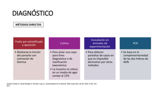 DIAGNÓSTICO
Frotis por estratificado
y aposición
• Mediante la tinción
del parasito con
coloración de
Giemsa
Cultivo
• Para aislar una cepa
para fines
diagnóstico o de
clasificación
taxonómica
• La muestra se coloca
en un medio de agar
conejo al 15%
Inoculación en
animales de
experimentación
• Para obtener
parásitos de casos en
que es imposible
demostrar por otros
métodos
PCR
• Se basa en la
complementariedad
de las dos hebras de
ADN
MÉTODOS DIRECTOS
(Castro Grüber S, Zerpa Rangel O, Rondón Lugo A. Leishmaniasis en la infancia. Med Cutan Iber Lat Am 2003; 31(6): 351-
361)
 