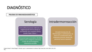 DIAGNÓSTICO
PRUEBAS DE INMUNODIAGNÓSTICO
Serología
Inmunofluorescencia indirecta: la
negativización de los títulos se
correlación con curación clínica,
puede haber falsos +
Inmunoensayo enzimático (ELISA):
Utiliza como antígenos extractos
crudos de promastigotes,
altamente sensible
Intradermorreacción
Intradermoreacción de
Montenegro o Leishmanina: se
basa en la evaluación de la
respuesta inmune celular del
paciente hacia el parasito
(Castro Grüber S, Zerpa Rangel O, Rondón Lugo A. Leishmaniasis en la infancia. Med Cutan Iber Lat Am 2003; 31(6): 351-
361)
 