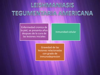 Enfermedad cronica de
la piel, se presenta años
                               Inmunidad celular
  despues de la cura de
   las lesiones iniciales


                   Gravedad de las
                lesiones relacionadas
                     con grado de
                  inmunodepresion
 