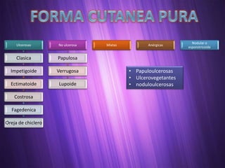 Nodular o
     Ulcerosas      No ulcerosa   Mixtas          Anérgicas
                                                                esporotricoide


     Clasica        Papulosa

  Impetigoide       Verrugosa              • Papuloulcerosas
                                           • Ulcerovegetantes
  Ectimatoide       Lupoide                • noduloulcerosas

    Costrosa

  Fagedenica

Oreja de chiclero
 