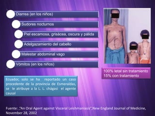 Diarrea (en los niños)

         Sudores nocturnos

           Piel escamosa, grisácea, oscura y pálida

           Adelgazamiento del cabello

         Malestar abdominal vago

      Vómitos (en los niños)
                                                             100% letal sin tratamiento
                                                             15% con tratamiento
Ecuador, solo se ha reportado un caso
procedente de la provincia de Esmeraldas,
se le atribuye a la L. L. chágasi el agente
causal


Fuente: ,“An Oral Agent against Visceral Leishmaniasis”,New England Journal of Medicine,
November 28, 2002
 