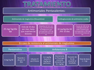 Antimoniales Pentavalentes:

         Antimoniato de meglumina (Glucantime)                           Estibogluconato de antimonio y sodio.


                                             Ampollas de 5ml, con                              Frascos de 100 ml de
                     Ciclo de 15 días        1.5 gr de Antimoniato                              estibogluconato de
25 mg/ kg/día        por mes, hasta            de Meglumina que         10 mg/Kg/dia IM         sodio y potasio que
     IM             que cicatrizen las       corresponden a 85 mg         /Por 10 dias       corresponden a 100 mg
                                             de antimonio base por                            de antimonio base por
                         lesiones                      ml.                                              ml.




                  En caso de resistencia al antimoniato de meglumina:

    Pentamidina                                                 Anfotericina B

                                                                      Diariamente
                                                   0,1 mg/kg                         Duracion de
                Pasando 1                                             en Posologia
                               Infusion IV         hasta 0,5                            tto de     Total de dosis
4 mg/ kg IM     dia por 15                                             creciente
                               por 8 horas         mg/kg por                          acuerdo al      1 – 3 gr.
                   dias                                              iniciando con
                                                   perfusion.                         resultado
                                                                       0,1 mg/kg
 