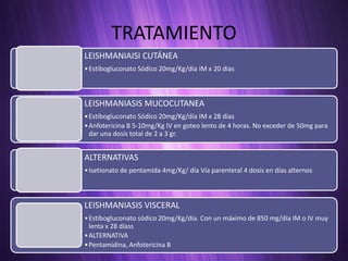 TRATAMIENTO
LEISHMANIAISI CUTÁNEA
• Estibogluconato Sódico 20mg/Kg/día IM x 20 días



LEISHMANIASIS MUCOCUTANEA
• Estibogluconato Sódico 20mg/Kg/día IM x 28 días
• Anfotericina B 5-10mg/Kg IV en goteo lento de 4 horas. No exceder de 50mg para
  dar una dosis total de 2 a 3 gr.


ALTERNATIVAS
• Isetionato de pentamida 4mg/Kg/ día Vía parenteral 4 dosis en días alternos



LEISHMANIASIS VISCERAL
• Estibogluconato sódico 20mg/Kg/día. Con un máximo de 850 mg/día IM o IV muy
  lenta x 28 díass
• ALTERNATIVA
• Pentamidina, Anfotericina B
 