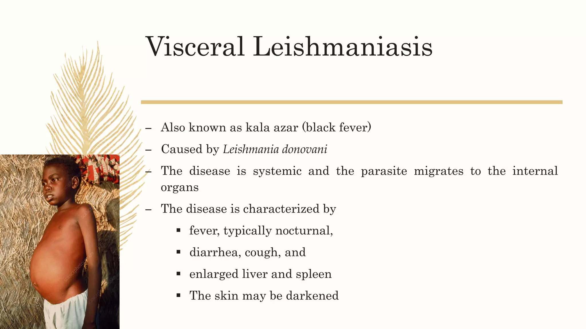 Leishmaniasis & drugs acting against leishmaniasis, Trypanosomicidal ...