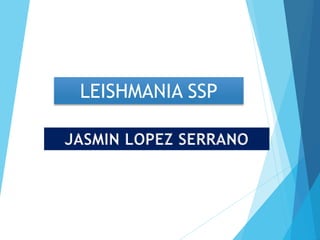 JASMIN LOPEZ SERRANO
LEISHMANIA SSP
 