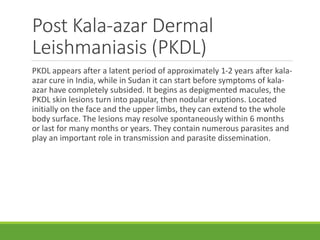 LEISHMANIASIS MEDICS.pptx
