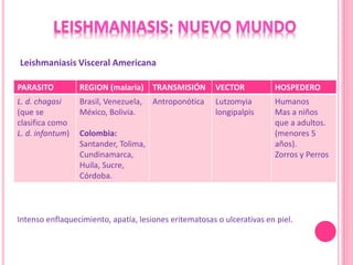 PARASITO REGION (malaria) TRANSMISIÓN VECTOR HOSPEDERO
L. d. chagasi
(que se
clasifica como
L. d. infantum)
Brasil, Venezuela,
México, Bolivia.
Colombia:
Santander, Tolima,
Cundinamarca,
Huila, Sucre,
Córdoba.
Antroponótica Lutzomyia
longipalpis
Humanos
Mas a niños
que a adultos.
(menores 5
años).
Zorros y Perros
Leishmaniasis Visceral Americana
Intenso enflaquecimiento, apatía, lesiones eritematosas o ulcerativas en piel.
 
