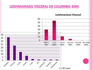 0
5
10
15
20
25
30
35
40
n = 85 casos
0
10
20
30
40
50
60
MEN 1
AÑO
1 A 4
AÑOS
5 A 14
AÑOS
15 A 44
AÑOS
45 A 64
AÑOS
65 Y MAS
AÑOS
Leishmaniasis Visceral
 