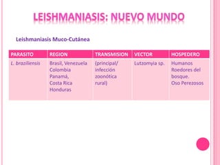 PARASITO REGION TRANSMISION VECTOR HOSPEDERO
L. braziliensis Brasil, Venezuela
Colombia
Panamá,
Costa Rica
Honduras
(principal/
infección
zoonótica
rural)
Lutzomyia sp. Humanos
Roedores del
bosque.
Oso Perezosos
Leishmaniasis Muco-Cutánea
 