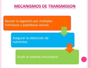 Resistir la digestión por múltiples
hidrolasas y peptidasas activas
Asegurar la obtención de
nutrientes
Eludir el sistema inmunitario
 