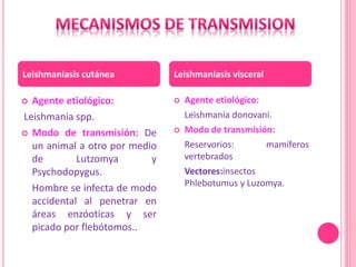  Agente etiológico:
Leishmania spp.
 Modo de transmisión: De
un animal a otro por medio
de Lutzomya y
Psychodopygus.
Hombre se infecta de modo
accidental al penetrar en
áreas enzóoticas y ser
picado por flebótomos..
 Agente etiológico:
Leishmania donovani.
 Modo de transmisión:
Reservorios: mamíferos
vertebrados
Vectores:insectos
Phlebotumus y Luzomya.
Leishmaniasis cutánea Leishmaniasis visceral
 