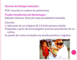 Técnicas de biología molecular:
PCR ( reacción en cadena de polimerasa).
Prueba intradérmica de Montenegro:
Método indirecto. Reacción hipersensibilidad retardada.
Consiste:
 Aplicación de un antígeno (0.1-0.2ml) extracto soluble
Preparado a partir de promastigotes muertos procedentes de un
cultivo.
Se puede dar como resultado una prueba positiva o negativa.
 