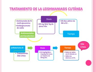 •Antimoniato de N-
metil-glucamina
•Estibogluconato
de sodio
Antimoniales
pentavalentes
•20 mg SbV/ Kg de
peso/ día.
Dosis
•30 días admo vía
IM o EV .
Tiempo
anfotericina B
• Tratamiento
2da Línea
Dosis
• 0,5 mg/kg/dia a
1mg/kg/dia hasta
un máximo de
50mg/dia.
Tiempo
• Debe ser admo
vía EV diluido en
• 500ml de
dextrosa al 5%.
2da
Línea
 