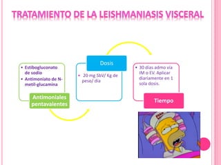 • Estibogluconato
de sodio
• Antimoniato de N-
metil-glucamina
Antimoniales
pentavalentes
• 20 mg SbV/ Kg de
peso/ día
Dosis
• 30 días admo vía
IM o EV. Aplicar
diariamente en 1
sola dosis.
Tiempo
 