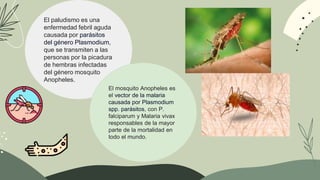 leishmaniasis y malaria.pptx