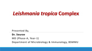 Leishmania tropica Complex
Presented By,
Dr. Sourav
MD (Phase-A, Year-1)
Department of Microbiology & Immunology, BSMMU
 