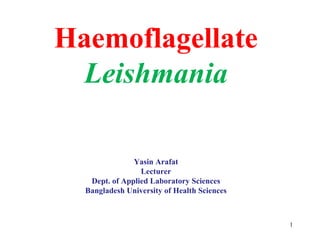 1
Haemoflagellate
Leishmania
Yasin Arafat
Lecturer
Dept. of Applied Laboratory Sciences
Bangladesh University of Health Sciences
 