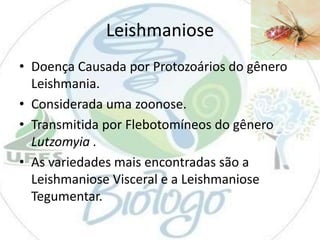Leishmaniose
• Doença Causada por Protozoários do gênero
Leishmania.
• Considerada uma zoonose.
• Transmitida por Flebotomíneos do gênero
Lutzomyia .
• As variedades mais encontradas são a
Leishmaniose Visceral e a Leishmaniose
Tegumentar.

 