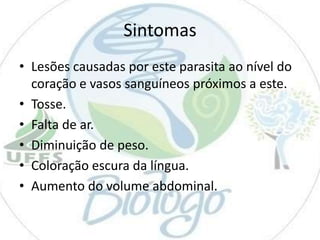 Sintomas
• Lesões causadas por este parasita ao nível do
coração e vasos sanguíneos próximos a este.
• Tosse.
• Falta de ar.
• Diminuição de peso.
• Coloração escura da língua.
• Aumento do volume abdominal.

 