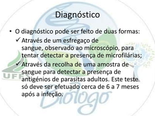 Diagnóstico
• O diagnóstico pode ser feito de duas formas:
 Através de um esfregaço de
sangue, observado ao microscópio, para
tentar detectar a presença de microfilárias;
 Através da recolha de uma amostra de
sangue para detectar a presença de
antigénios de parasitas adultos. Este teste
só deve ser efetuado cerca de 6 a 7 meses
após a infeção.

 