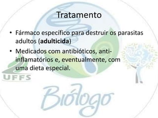 Tratamento
• Fármaco específico para destruir os parasitas
adultos (adulticida)
• Medicados com antibióticos, antiinflamatórios e, eventualmente, com
uma dieta especial.

 