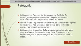 Patogenia
 Leishmaniose Tagumentar Americana ou Cutânia: As
amastigotas que permanenceram na pele ou mucosa
formando nódulos, depois uma ulcera ou ferida.
 Leishmaniose Tagumentar Cutânia Difusa: Caracteriza-se pelas
lesões difusas não ulceradas por toda a pele, contendo
grande números de amastigotas.
 Leishmaniose Visceral ou Calazar: As amastigotas migrarão
para as vísceras via corrente sanguínea. Promovendo a
esplenomegalia, a hepatomegalia e a disfunção da medula
óssea.
Leishmaniose - Leishmaniose Cutânea, Leishmaniose Cutânea Difusa e Leishmaniose Visceral
Sheila Silva
 