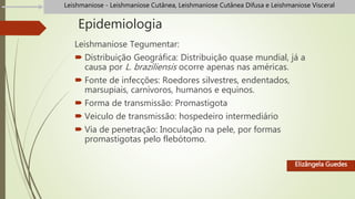 Epidemiologia
Leishmaniose Tegumentar:
 Distribuição Geográfica: Distribuição quase mundial, já a
causa por L. braziliensis ocorre apenas nas américas.
 Fonte de infecções: Roedores silvestres, endentados,
marsupiais, carnívoros, humanos e equinos.
 Forma de transmissão: Promastigota
 Veiculo de transmissão: hospedeiro intermediário
 Via de penetração: Inoculação na pele, por formas
promastigotas pelo flebótomo.
Elizângela Guedes
Leishmaniose - Leishmaniose Cutânea, Leishmaniose Cutânea Difusa e Leishmaniose Visceral
 