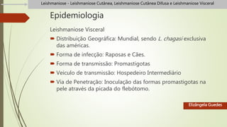 Epidemiologia
Leishmaniose Visceral
 Distribuição Geográfica: Mundial, sendo L. chagasi exclusiva
das américas.
 Forma de infecção: Raposas e Cães.
 Forma de transmissão: Promastigotas
 Veiculo de transmissão: Hospedeiro Intermediário
 Via de Penetração: Inoculação das formas promastigotas na
pele através da picada do flebótomo.
Elizângela Guedes
Leishmaniose - Leishmaniose Cutânea, Leishmaniose Cutânea Difusa e Leishmaniose Visceral
 