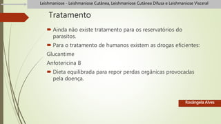 Tratamento
 Ainda não existe tratamento para os reservatórios do
parasitos.
 Para o tratamento de humanos existem as drogas eficientes:
Glucantime
Anfotericina B
 Dieta equilibrada para repor perdas orgânicas provocadas
pela doença.
Rosângela Alves
Leishmaniose - Leishmaniose Cutânea, Leishmaniose Cutânea Difusa e Leishmaniose Visceral
 