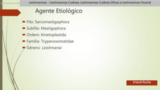 Agente Etiológico
 Filo: Sarcomastigophora
 Subfilo: Mastigophora
 Ordem: Kinetoplastida
 Família: Trypanosomatidae
 Gênero: Leishmania
Erlandi Rocha
Leishmaniose - Leishmaniose Cutânea, Leishmaniose Cutânea Difusa e Leishmaniose Visceral
 