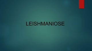 LEISHMANIOSE
 