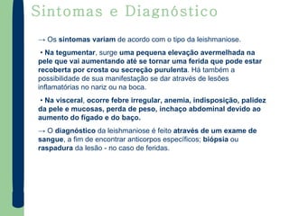 Sintomas e Diagnóstico ->  Os  sintomas variam  de acordo com o tipo da leishmaniose. •  Na tegumentar , surge  uma pequena elevação avermelhada na pele   que vai aumentando até se tornar uma ferida que pode estar recoberta por crosta ou secreção purulenta . Há também a possibilidade de sua manifestação se dar através de lesões inflamatórias no nariz ou na boca. •  Na visceral ,  ocorre febre irregular, anemia, indisposição, palidez da pele e mucosas, perda de peso, inchaço abdominal devido ao aumento do fígado e do baço.  ->  O  diagnóstico  da leishmaniose é feito  através de um exame de sangue , a fim de encontrar anticorpos específicos;  biópsia  ou  raspadura  da lesão - no caso de feridas. 