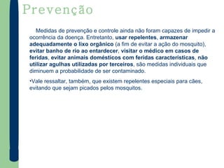 Prevenção Medidas de prevenção e controle ainda não foram capazes de impedir a ocorrência da doença. Entretanto,  usar repelentes ,  armazenar adequadamente o lixo   orgânico  (a fim de evitar a ação do mosquito),  evitar banho de rio ao entardecer ,  visitar o médico em casos de feridas ,  evitar animais domésticos com feridas características ,  não utilizar agulhas utilizadas por terceiros , são medidas individuais que diminuem a probabilidade de ser contaminado.  Vale ressaltar, também, que existem repelentes especiais para cães, evitando que sejam picados pelos mosquitos. 