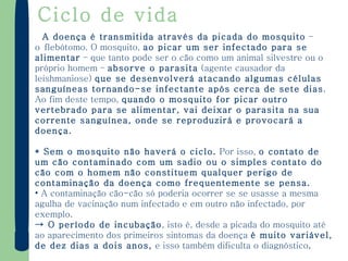 Ciclo de vida A doença é transmitida através da picada do mosquito  – o flebótomo. O mosquito,  ao picar um ser infectado para se alimentar  – que tanto pode ser o cão como um animal silvestre ou o próprio homem –  absorve o parasita  (agente causador da leishmaniose)  que se desenvolverá atacando algumas células sanguíneas tornando-se infectante após cerca de sete dias . Ao fim deste tempo,  quando o mosquito for picar outro vertebrado para se alimentar, vai deixar o parasita na sua corrente sanguínea, onde se reproduzirá e provocará a doença.   * Sem o mosquito não haverá o ciclo.  Por isso,  o contato de um cão contaminado com um sadio ou o simples contato do cão com o homem não constituem qualquer perigo de contaminação da doença como frequentemente se pensa.   A contaminação cão-cão só poderia ocorrer se se usasse a mesma agulha de vacinação num infectado e em outro não infectado, por exemplo.   ->  O período de incubação , isto é, desde a picada do mosquito até ao aparecimento dos primeiros sintomas da doença  é muito variável,   de dez dias a dois anos,  e isso também dificulta o diagnóstico .   
