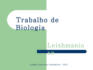 Trabalho de Biologia Leishmaniose Colégio Cenecista Catanduvas - 2011 