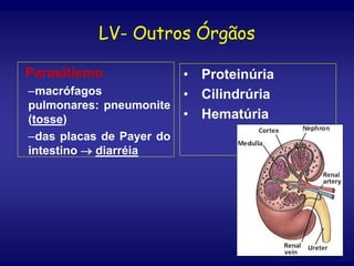 LV- Outros Órgãos
Parasitismo
–macrófagos
pulmonares: pneumonite
(tosse)
–das placas de Payer do
intestino  diarréia
• Proteinúria
• Cilindrúria
• Hematúria
 