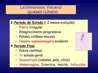 3.Período de Estado (> 2 meses evolução)
• Febre irregular
• Emagrecimento progressivo
• Palidez cutâneo-mucosa
• Hepato-esplenomegalia evidente
4.Período Final
• Febre contínua
•  estado geral
• Desnutrição (cabelos, pele, cílios)
• Hemorragias, Icterícia, Ascite, Infecções
Leishmaniose Visceral
QUADRO CLÍNICO
 