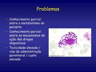 • Conhecimento parcial
sobre o metabolismo do
parasito
• Conhecimento parcial
sobre os mecanismos de
ação das drogas
disponíveis
• Toxicidade elevada /
vias de administração
parenteral / custo
elevado
Problemas
 