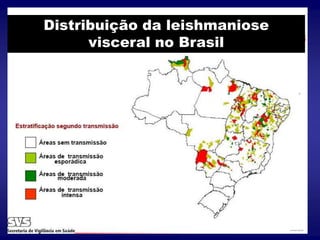 Distribuição da leishmaniose
visceral no Brasil
 