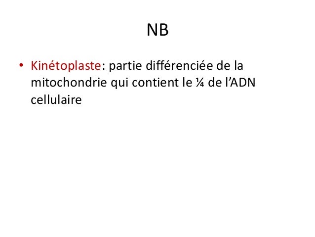 Le traitement contre les lamblias chez les enfants par les moyens nationaux