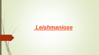 Leishmaniose
 