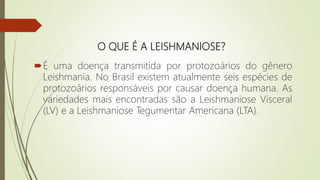 O QUE É A LEISHMANIOSE?
É uma doença transmitida por protozoários do gênero
Leishmania. No Brasil existem atualmente seis espécies de
protozoários responsáveis por causar doença humana. As
variedades mais encontradas são a Leishmaniose Visceral
(LV) e a Leishmaniose Tegumentar Americana (LTA).
 