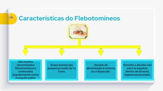 Características do Flebotomíneos
São insetos
denominados
flebotomíneos e
conhecidos
popularmente como
mosquito palha.
Esses insetos são
pequenos mede de 1 a
3 mm.
Horário de
alimentação é noturno
ou crepuscular.
Durante o dia eles vão
para os esgotos,
dentro de árvores,
lugares escurecidos.
 