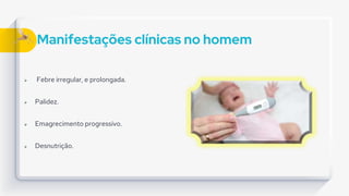 Manifestações clínicas no homem
 Febre irregular, e prolongada.
 Palidez.
 Emagrecimento progressivo.
 Desnutrição.
 