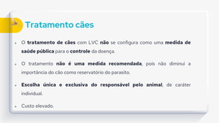 Tratamento cães
 O tratamento de cães com LVC não se configura como uma medida de
saúde pública para o controle da doença.
 O tratamento não é uma medida recomendada, pois não diminui a
importância do cão como reservatório do parasito.
 Escolha única e exclusiva do responsável pelo animal, de caráter
individual.
 Custo elevado.
 