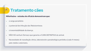 Tratamento cães
Miltefosina - estudos de eficácia demonstram que:
 ↓ carga parasitária
 ↓ potencial de infecção dos flebotomíneos
 ↓ transmissibilidade da doença.
 NÃO HÁ nenhum fármaco que garanta a CURA DEFINITIVA do animal.
 Necessidade de reavaliação clínica, laboratorial e parasitológica periódica (cada 4 meses)
pelo médico veterinário.
 