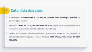 Eutanásia dos cães
 A eutanásia: recomendada a TODOS os animais com sorologia positiva ou
parasitológico positivo;
 Resolução CFMV nº 1.000, de 11 de maio de 2012: dispõe sobre os procedimentos e
métodos de eutanásia em animais e dá outras providências;
 Destino de cadáveres: animais submetidos à eutanásia ou morte por LVC, deverão ser
considerados como resíduos de serviços de saúde (RDC nº 222, 28 de março de 2018,
ANVISA).
 